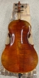 Hidersine Reserve Pianura Cello 302 26 03 - B-Stock - CL2741