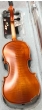 Hidersine Vivente Violin 1/8 Outfit-B stock-CL2695