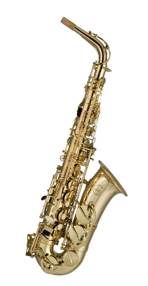 Artemis A1 Alto Sax Outfit - Gold Lacquer