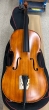 Hidersine Vivente 4/4 Cello Outfit - B-Stock - CL2452