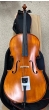 Hidersine Vivente 4/4 Cello Outfit - B-Stock - CL2641