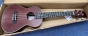 Brunswick Tenor Ukulele Mahogany Finish-B stock-CL2652