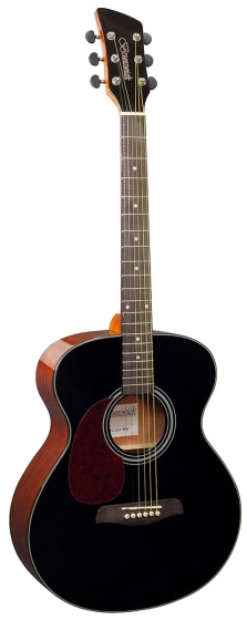 Brunswick Grand Auditorium Black Gloss - Left Handed