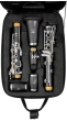 Trevor James Series 8 Bb Clarinet Outfit