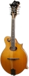 Barnes & Mullins Piercy F-Style Mandolin