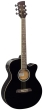 Brunswick Grand Auditorium Electro Black Gloss