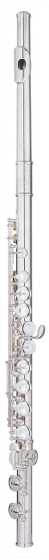 Trevor James Virtuoso Flute Outfit - Straight Head. CS Shaped Lip