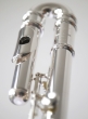 Trevor James 10XE-P Flute Outfit - Curved & Straight Heads. CS 925 Silver Lip Plate and Riser