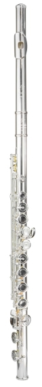 Trevor James Virtuoso Flute Outfit - Voce Head. Split E