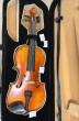 Hidersine Vivente Violin 4/4 - B-Stock - CL2390