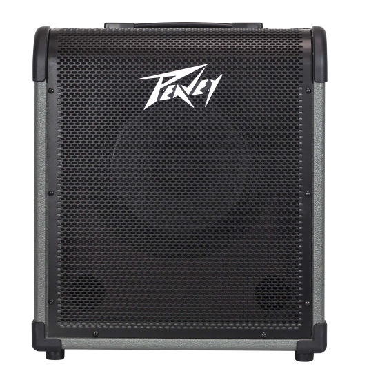 Peavey Max 100 Bass Combo