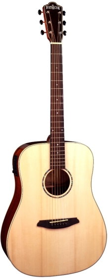 Rathbone No.5 - Double Top - Sitka Spruce/Mahogany Electro