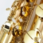 Trevor James 'The Horn' Baritone Sax Outfit - Gold Lacquer