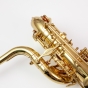 Trevor James 'The Horn' Baritone Sax Outfit - Gold Lacquer