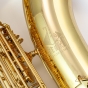 Trevor James 'The Horn' Baritone Sax Outfit - Gold Lacquer