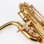 Trevor James EVO Baritone Saxophone - Gold Lacquer