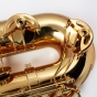 Trevor James EVO Baritone Saxophone - Gold Lacquer
