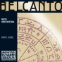 Belcanto Solo Double Bass String B