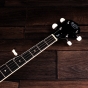 Barnes & Mullins Perfect 5-String Banjo 