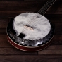 Barnes & Mullins Perfect 6-String Banjo 