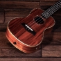 Barnes & Mullins Concert Ukulele Electro - Koa