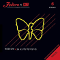 Fodera x DR Strings Bass Nickel Medium - 6 String