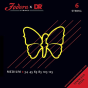 Fodera x DR Strings Bass Stainless Steel Medium - 6 String