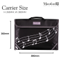 Montford Music Carrier Green