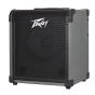 Peavey Max 100 Bass Combo