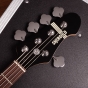 Shergold Libertine Standard Bass SBL15 Metallic Gold Gloss - 5 String