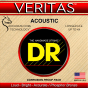 DR Strings Veritas Acoustic Medium