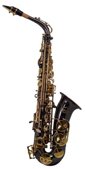 Artemis A1 Alto Sax Outfit - Black. Gold Lacquer Keys