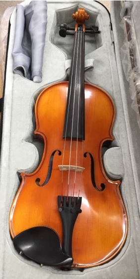 Hidersine Vivente Violin 4/4 Outfit - B-Stock - CL1743