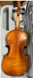 Hidersine Vivente Violin 4/4 Outfit - B-Stock - CL2238