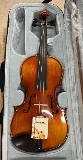 Hidersine Piacenza Violin 4/4 Outfit - B-Stock - CL2419