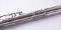 Trevor James 10XE-P Flute Outfit - CS 925 Silver Lip Plate and Riser