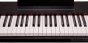 Montford MFDP10 Digital Piano