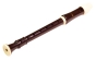 Aulos Descant Recorder 205A Robin - Premium School Recorder