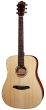 Rathbone No.5 - Double Top - Sitka Spruce/Mahogany