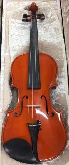 Hidersine Nobile Violin 4/4 Outfit - Strad Non-Antique - B-Stock - CL1525