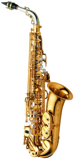 Yanagisawa Alto Sax - Solid Silver Body & Neck, Brass Bell & Bow