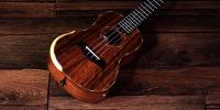 Video Review: Barnes & Mullins Concert Electro Ukulele